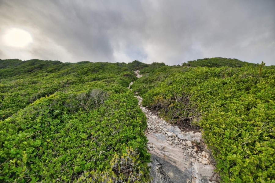 0 Bedroom Property for Sale in De Kelders Western Cape